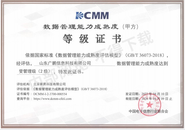 數據管理能力成熟度二級